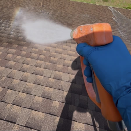 How Often Should You Schedule Roof Cleaning in Coastal Florida?