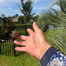 -St-Augustine-FL-Residential-Pressure-Washing-Experts-2-Story-Home-Balconies-Driveway-Pool-Deck-Cleaning- 0