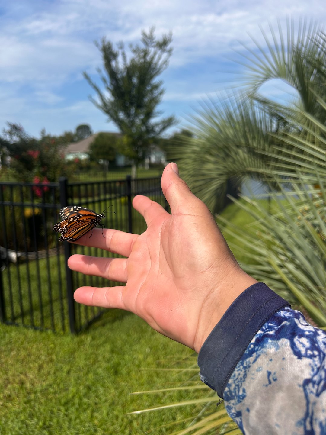 St. Augustine Residential Pressure Washing That Goes the Extra Mile 💦🏡